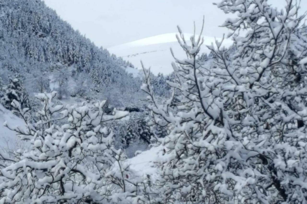 Les Forques De'N Pep Daire Toses Dış mekan fotoğraf